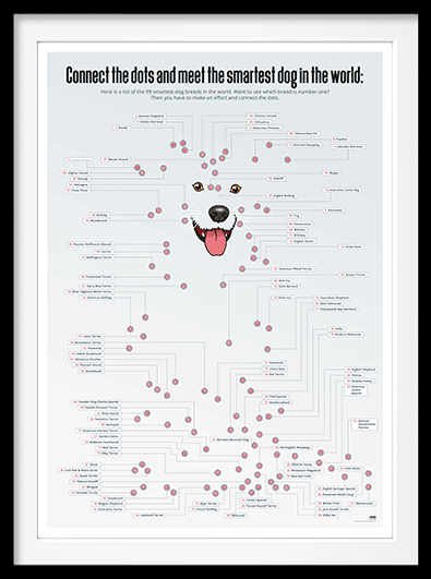 The smartest dog in the world? - DepressedMedia