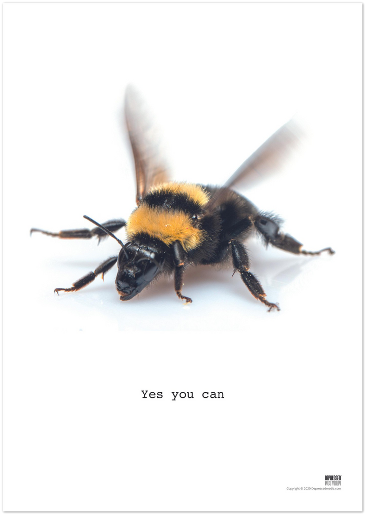 Bumblebee - DepressedMedia