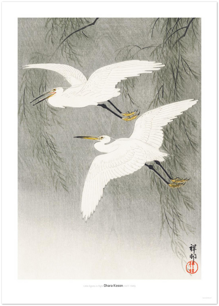 Little Egrets in flight - DepressedMedia