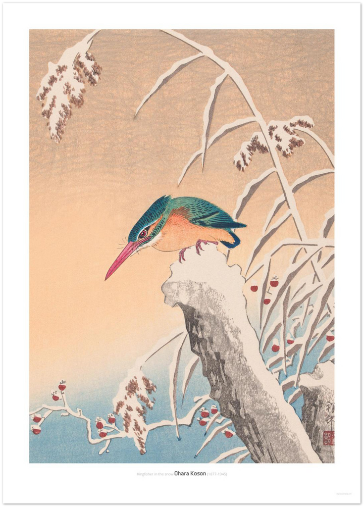 Kingfisher in the snow - DepressedMedia