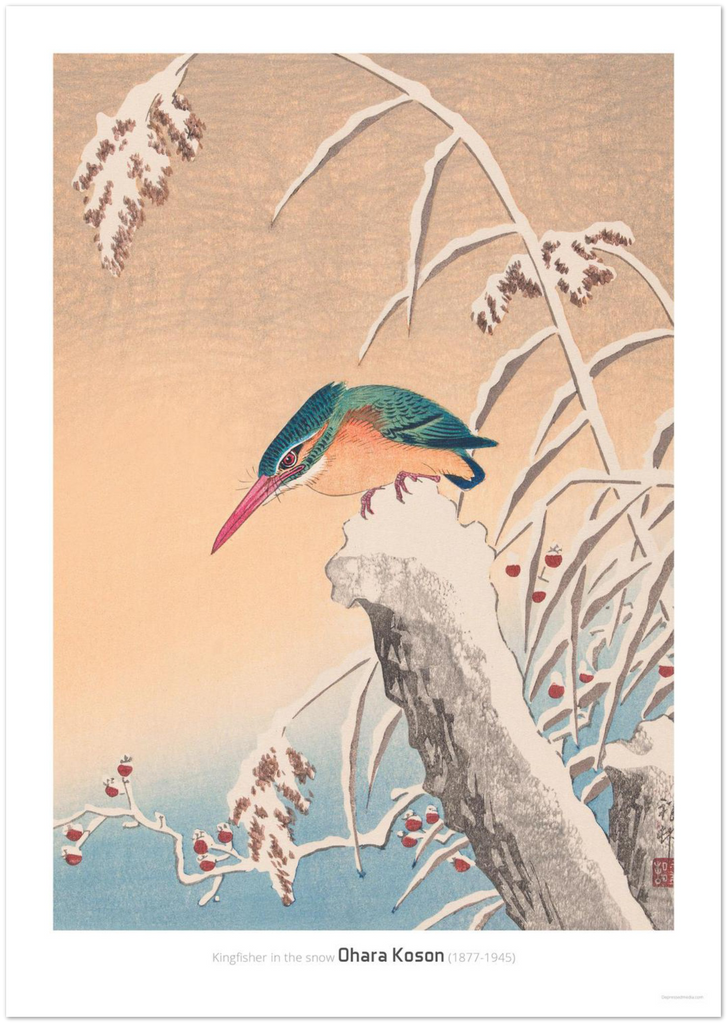 Kingfisher in the snow - DepressedMedia
